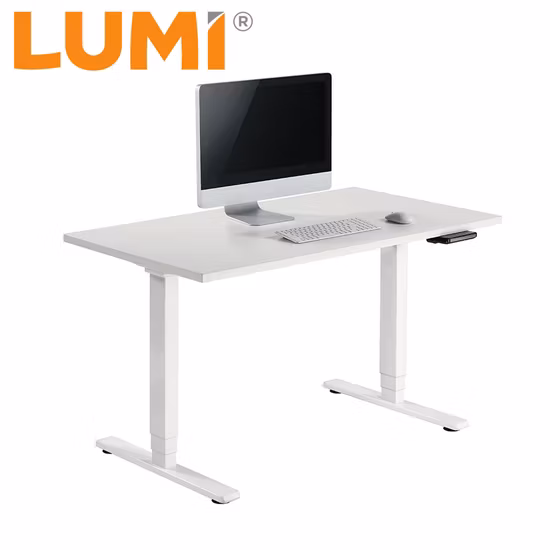 Mobili per ufficio domestici moderni ed ergonomici di alta qualità OEM ODM Tavolo da studio regolabile in altezza per studio portatile con doppio motore elettrico a 3 livelli